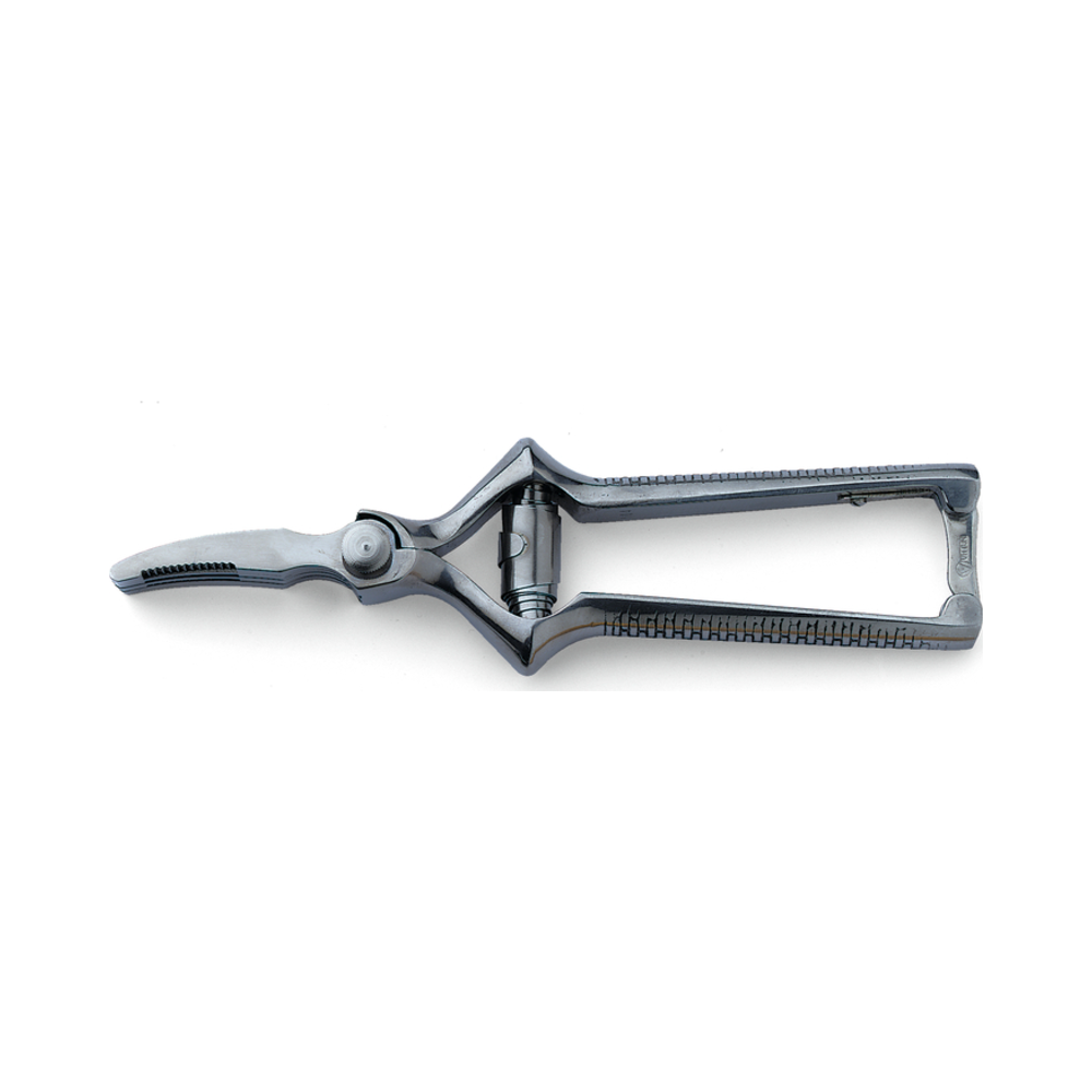 spring for meat mincing shears